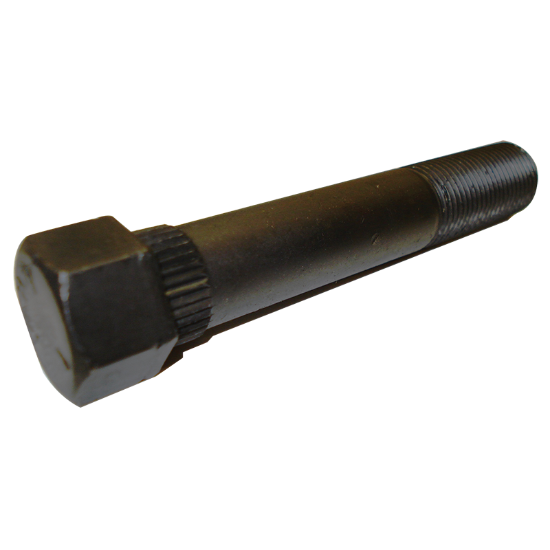 Black metal bolt on a white background